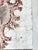 2020s Lace Murex — Hand Textured Pink Seashell Art For Sale - Image 5 of 9