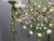 Green Opaline Glass Beaded Chandelier in Pastel Blue and Green Crystal Drops, 1950s For Sale - Image 8 of 15
