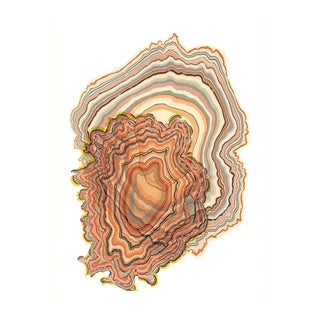 Pernille Snedker, Double Woodrings #03, Giclée Print For Sale