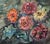 1980s Dzidra Bauma, Gerberas, 1987, Watercolor For Sale - Image 5 of 5