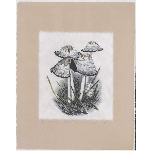 Litho by Maryland artist Mary Laur (born 1959) "Ink Caps - Hour Ten" pencil signed, titled and numbered 12 of 32.