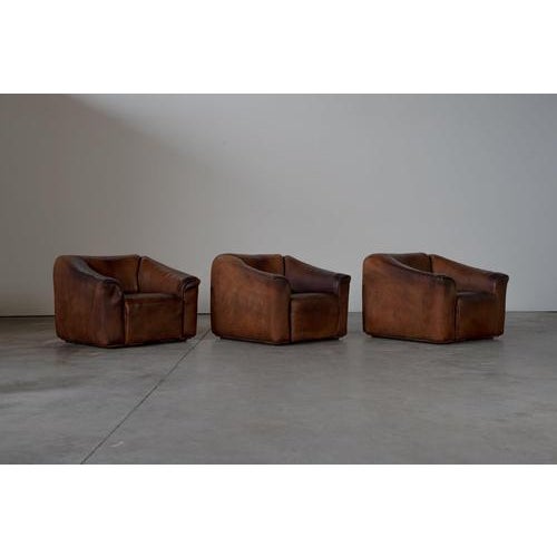 Vintage Swiss DS47 Lounge Chair from de Sede, 1970s For Sale - Image 3 of 17