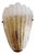 Shell-Shaped Murano Glass Wall Light For Sale