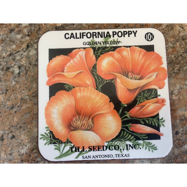 Pimpernel Floral 4 Coasters with Box 5 pcs For Sale - Image 6 of 9