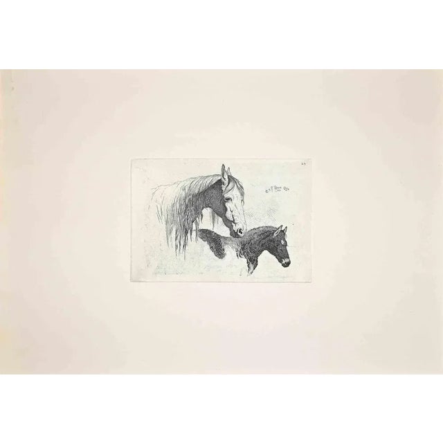 The horses in the Roman Countrysideis an original etching artwork realized after Charles Coleman (1807, Yorkshire - 1874,...