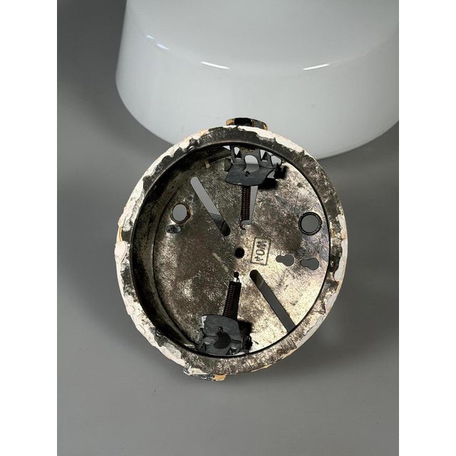Mid-Century Ceiling Light in Frosted Glass from RZB, 1960s For Sale - Image 13 of 15