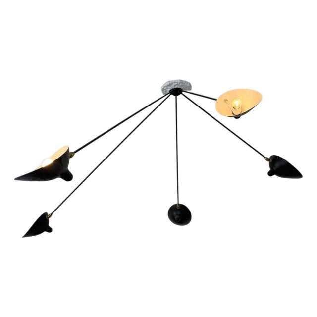 5-Arm Spider Lamp by Serge Mouille For Sale