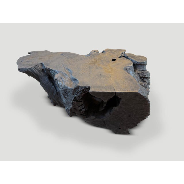 Andrianna Shamaris Sculptural Charred Teak Wood Coffee Table or Bench For Sale - Image 4 of 5