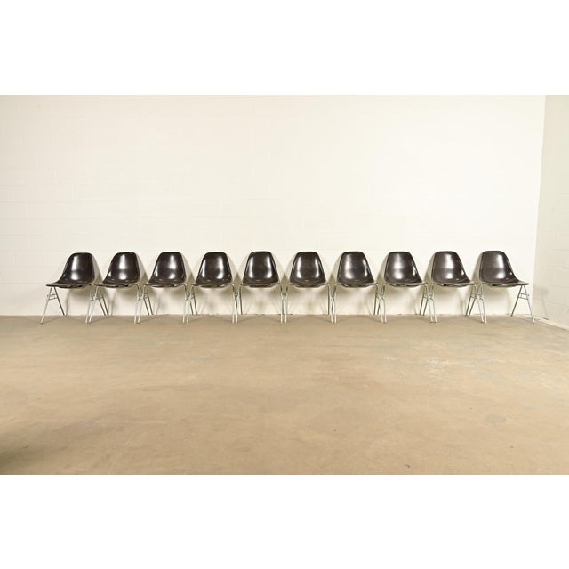 Herman Miller Charles & Ray Eames for Herman Miller DSS Seal Brown Stacking Shell Chairs | Set of Ten For Sale - Image 4 of 16