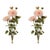 Rustic Zinnia Flower Bundle (Set of 2) For Sale - Image 3 of 3