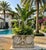Vintage Neoclassical Cast Stone Planter With Ram's Head and Lion Masks For Sale - Image 10 of 12