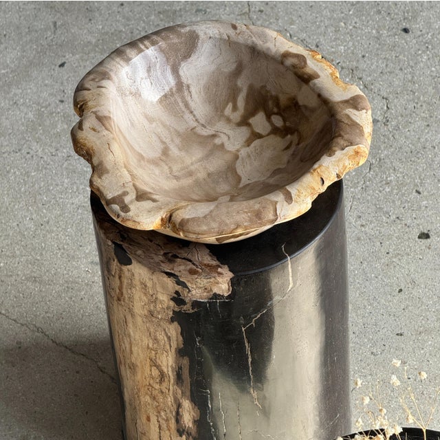 Side Table in Black Petrified Wood with Beige Stripes and Sides For Sale - Image 18 of 18
