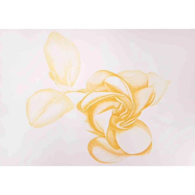Giacomo Porzano, Yellow Rose, 1970s, Etching For Sale