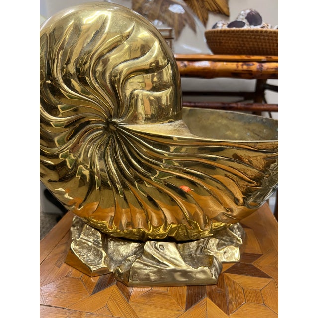 Beautiful, heavy vintage brass nautilus shell which can be used as a planter or wine cooler!