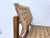 Danish Chair in Pine by Vagn M. Fuglsang, 1960s For Sale - Image 12 of 18
