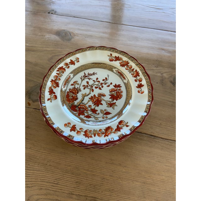 Burnt Orange Antique Copeland Spode Orange Rust and Gold Scallop-Edged “India Tree” Bread Plate - 8 Available For Sale - Image 8 of 8