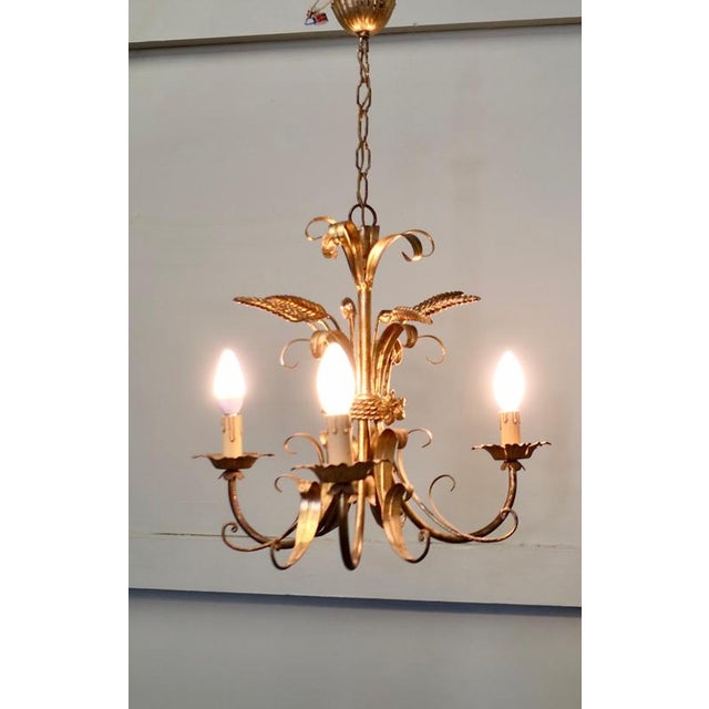 1960s Vintage French Toleware Gilded Chandelier, 1960 For Sale - Image 5 of 8