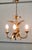 1960s Vintage French Toleware Gilded Chandelier, 1960 For Sale - Image 5 of 8