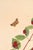 French Country Antique Botanical Study With Moths, 1797 Vintage Art Print Reproduction, 16" X 24" For Sale - Image 3 of 10