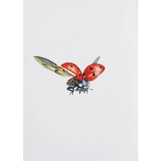 Juris Utans, Ladybug in Flight V, 2021, Mixed Media and Paper For Sale