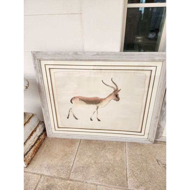Pair of African Game Animal Watercolor Paintings For Sale - Image 12 of 12