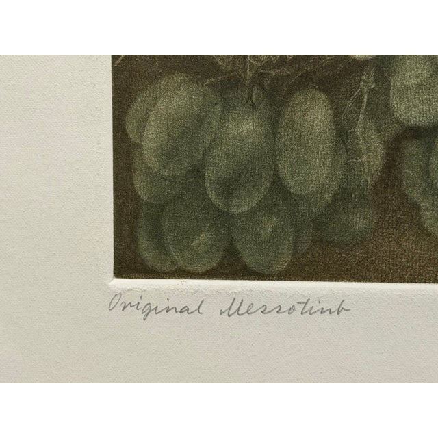 Paper G H Rothe Grapes Art Hand Signed Limited Edition 1983 on Paper Fruits Original For Sale - Image 7 of 8