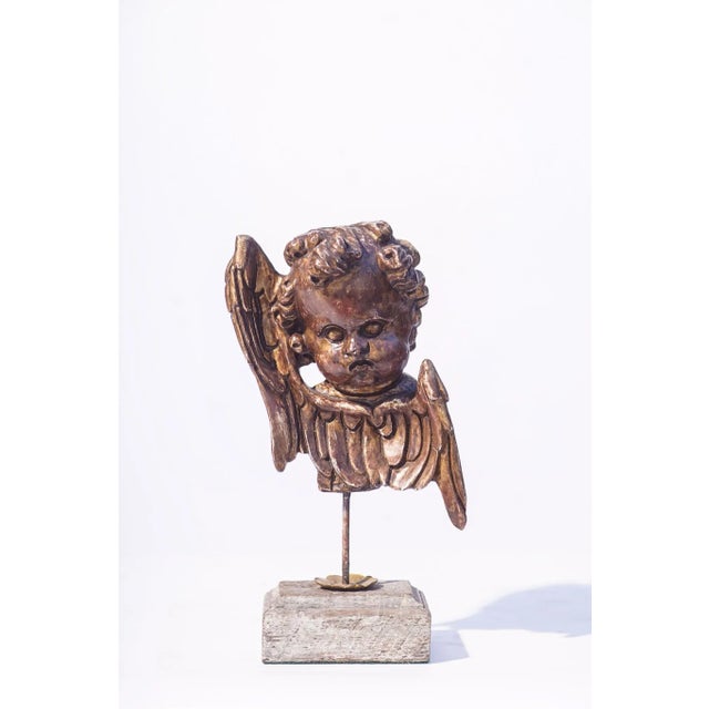 20th c. Italian Style Wood Cherub Fragments, not antique