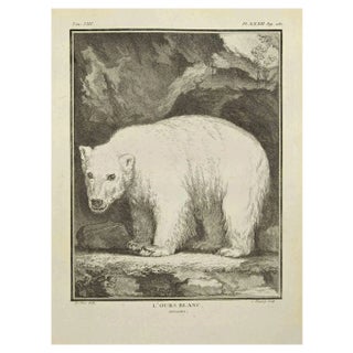Pierre Charles Baquoy, L'Ours Blanc, Etching, 1771 For Sale