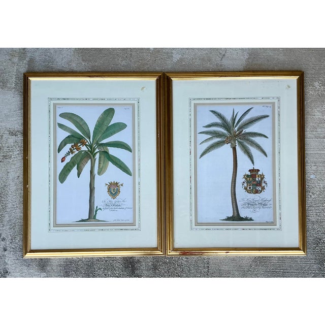 This distinguished pair of large-scale botanical etchings celebrates the scholarly and artistic legacy of the preeminent...