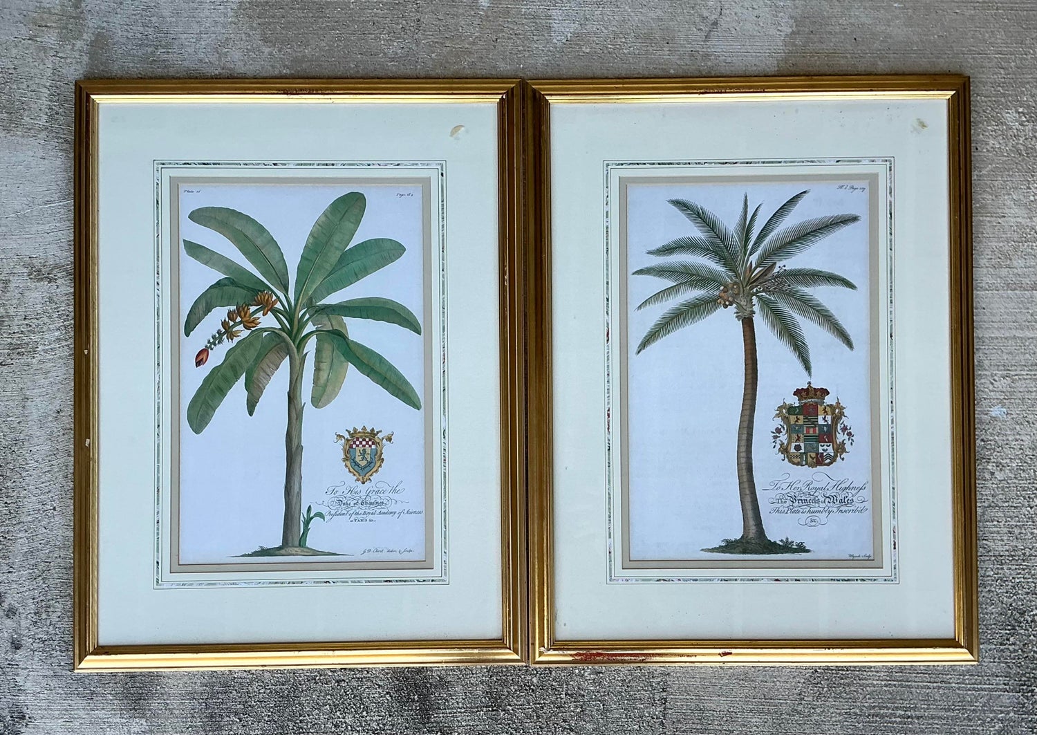 Vintage Crested Palm Etchings - A Pair - Detail view