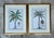 This distinguished pair of large-scale botanical etchings celebrates the scholarly and artistic legacy of the preeminent...