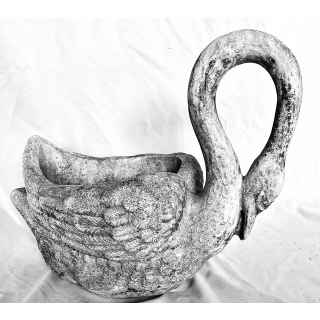 Early 1900s Antique French Concrete Swan Planter For Sale - Image 14 of 17