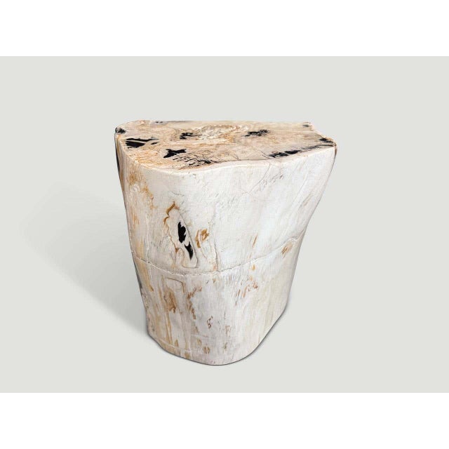 "Beautiful pale tones on this ancient petrified wood side table with striking black tones. It’s fascinating how Mother...