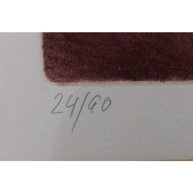 Contemporary Jaroslava Pešicová, Wine Beetle, 1982, Limited Edition Print, Framed For Sale - Image 3 of 6