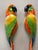 Macaws in Fiberglass & Epoxy, Italy, 1970s, Set of 2 For Sale - Image 4 of 18