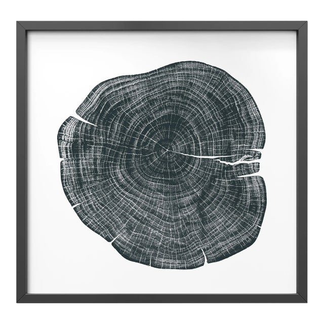 Stump 1 - Variation 1 by Trinette + Chris Print with Black Frame - 14 X 14 For Sale