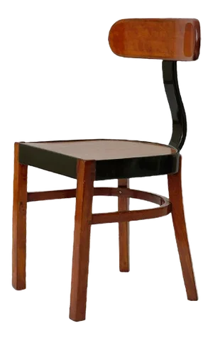 Constructivist Bentwood Back-Sprung Mod. No. 401 Chair by Jozsef Heisler, Hungary, 1930s