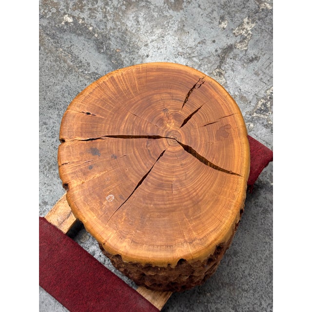 Organic Modern Live Edge Tree Side Table/Stool For Sale - Image 11 of 12
