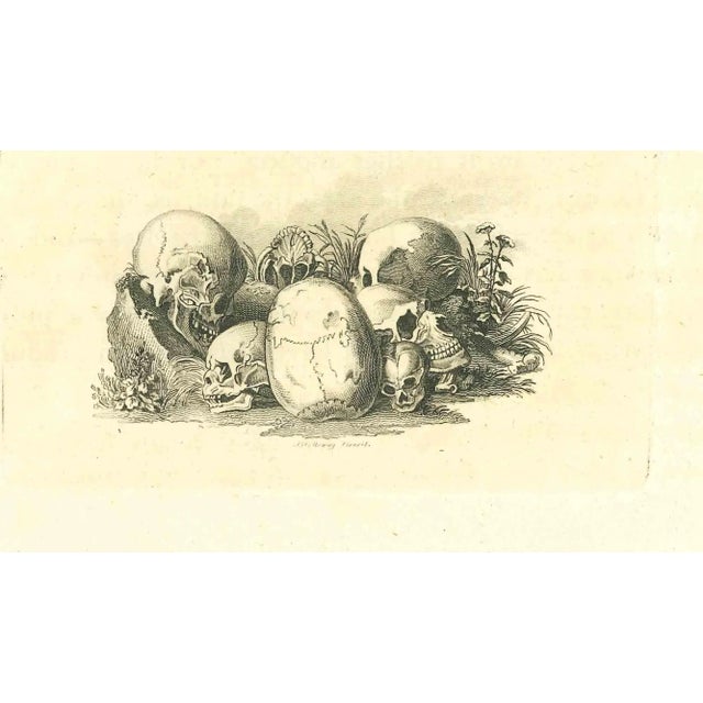 Skulls is an etching realized by Thomas Holloway for Johann Caspar Lavater's "Essays on Physiognomy, Designed to Promote...