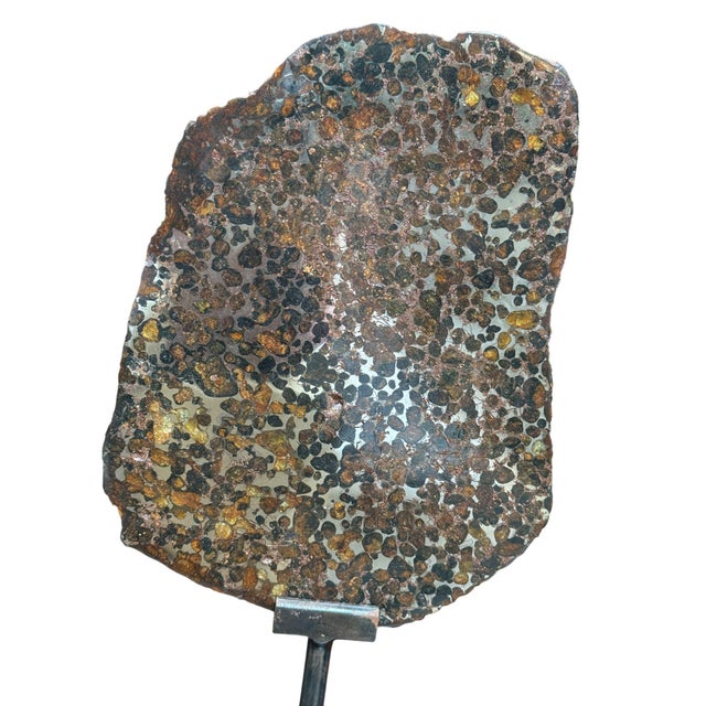 Early 20th Century Pallasite Meteorite Slice From the Jericho Strewn Field, Kenya. For Sale - Image 5 of 7