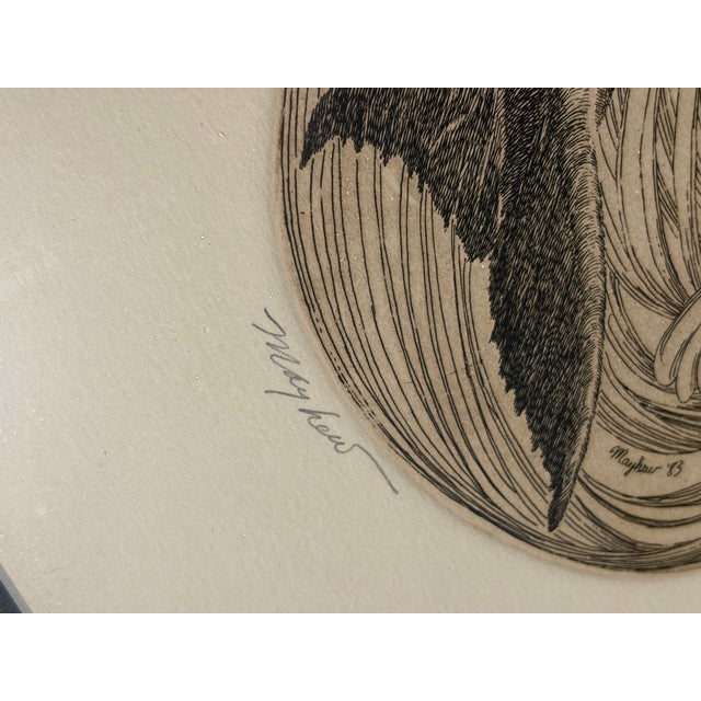 j.d. Mayhew Gray Whales and Kelp 1983 Limited Edition Etching Print, Signed and Numbered For Sale - Image 10 of 10