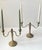 Vintage French Louis XIV Style Candelabras in Bronze, 1920s, Set of 2 For Sale - Image 3 of 9