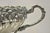 Antique Victorian Silver Plated Grapevine Oval Twin Handle Centerpiece Fruit Bowl For Sale In Philadelphia - Image 6 of 10