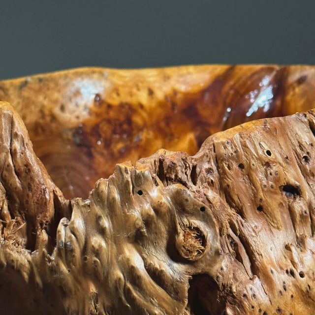 Wood Vintage Organic Modern Hand Carved Wooden Root Bowl For Sale - Image 7 of 8