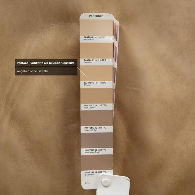 DS-31 Chair in Leather from de Sede For Sale - Image 12 of 18