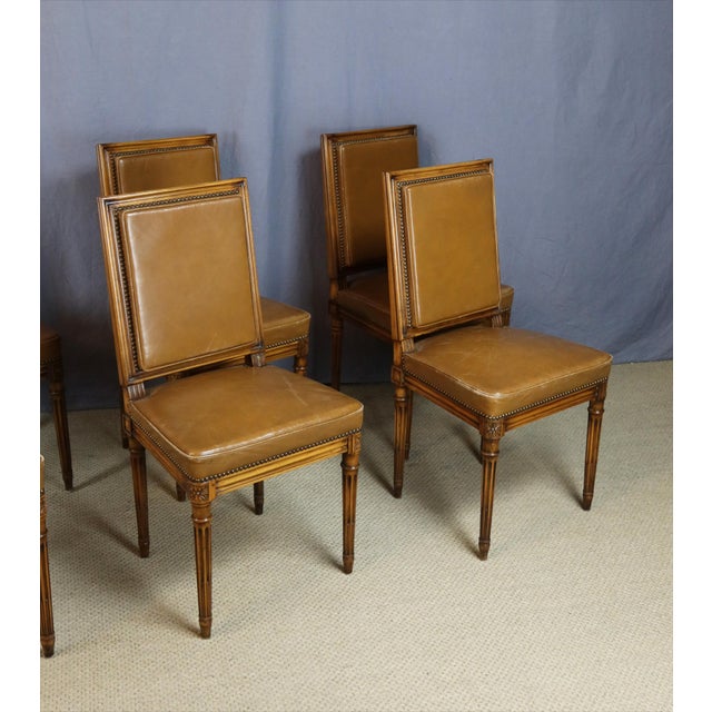 Louis XVI Style Chairs, 1950s, Set of 6 For Sale - Image 10 of 13