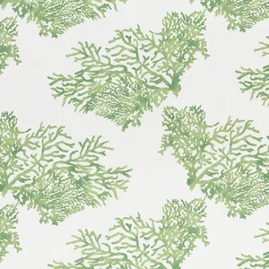 Schumacher Great Barrier Reef Ii Fabric in Green
