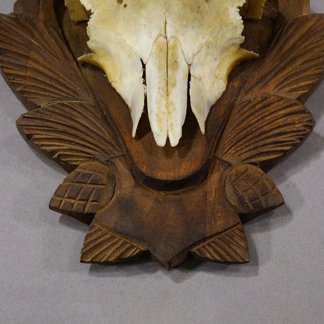 Wood Vintage Set of Four Chamois Trophies on Carved Plaques, Germany Ca. 1950s For Sale - Image 7 of 7