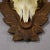 Wood Vintage Set of Four Chamois Trophies on Carved Plaques, Germany Ca. 1950s For Sale - Image 7 of 7
