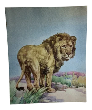 1937 Lion Book Illustration by Diana Thorner